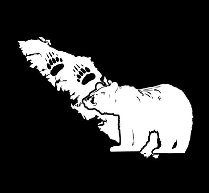 Black Bear with Pawprints - Island Wildlife