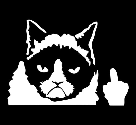 Grumpy Cat-itude Middle Finger Decal
