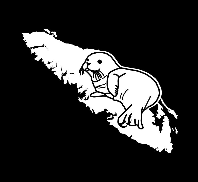 Harbour Seal Pup - Island Wildlife