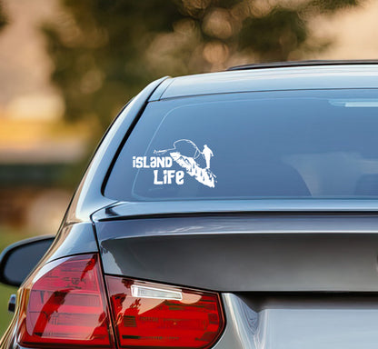 Angler Catching Salmon - Island Life