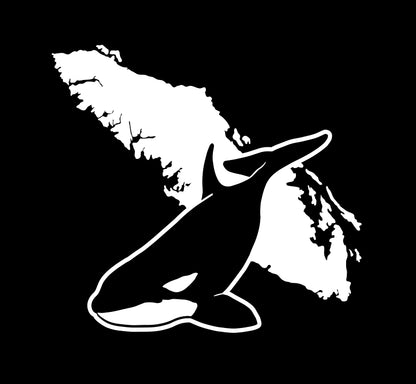 Swimming Orca - Island Wildlife