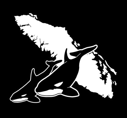 Orca and Calf - Island Wildlife