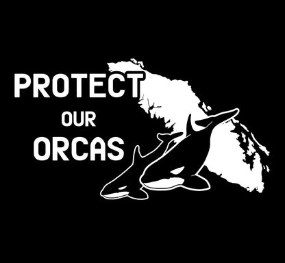 Protect our Orcas Mother and Calf - Island Wildlife