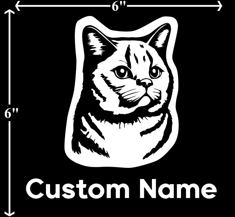 Scottish Fold Cat - Customizable Pet Decal