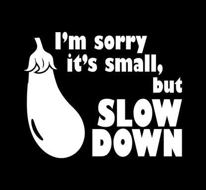 Slow Down Tiny Decal