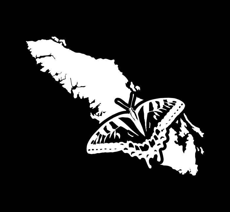 Swallowtail Butterfly - Island Wildlife