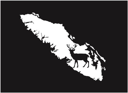 Black-tailed Deer Stag - Island Wildlife