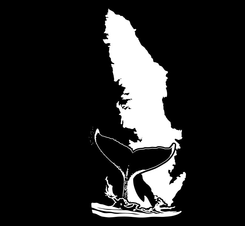 Vertical Island Whale Tail - Island Wildlife