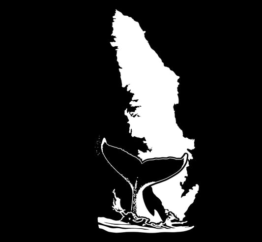 Vertical Island Whale Tail - Island Wildlife